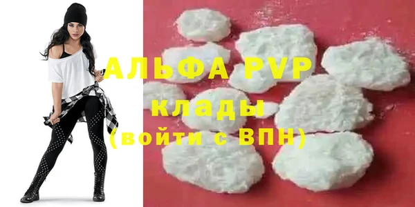стаф Баксан