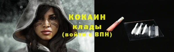 стаф Баксан