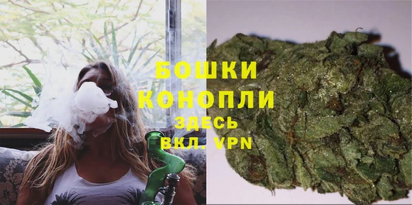 стаф Баксан